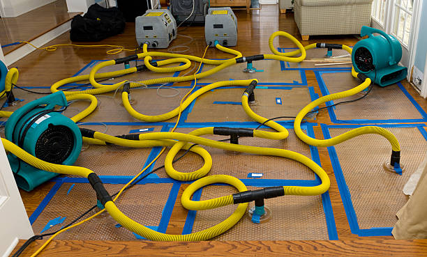 Professional Crawl Space Water Removal technician working in Minot, ND